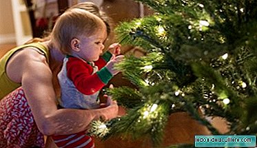 First family Christmas: recommendations to enjoy all together