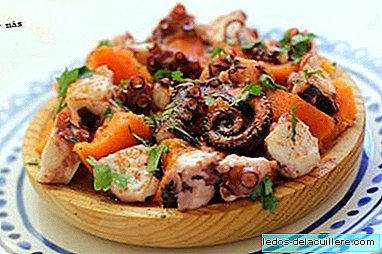 Octopus with sweet potatoes. Christmas entree for the whole family