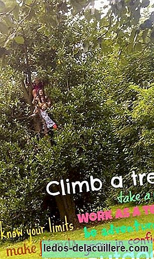 Lassen Sie die Kinder auf Bäume klettern!