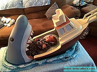 Why wouldn't you put your baby here? A cradle inspired by "Shark"