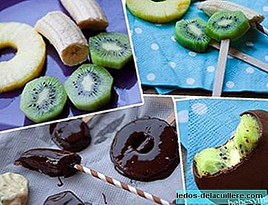 Summer Recipe: Chocolate Covered Fruit Frosted Lollipop