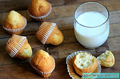Summer recipes to make with kids: snack muffins
