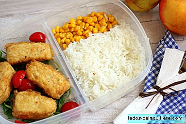 Recipes for back to school: Today homemade fish delicacies