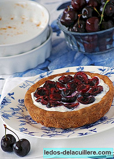 Recipes for the whole family: chicken salads, cherry tartlets and more