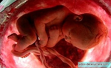 They relate the function of the placenta with mental health in adulthood