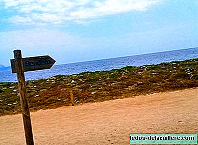 子供とのルート：マヨルカの海岸沿いのソンレアルへの遠足