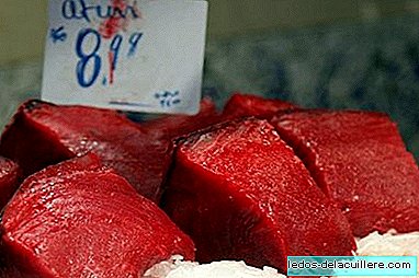 Health advises pregnant women and children not to eat bluefin tuna or swordfish