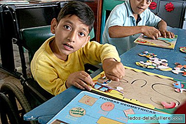 International Day of Persons with Disabilities is celebrated claiming the right to Inclusive Education