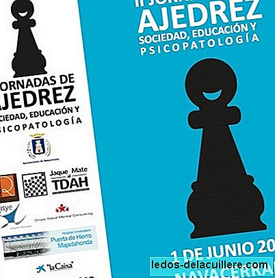 A II Conferência de xadrez, sociedade, educação e psicopatologia foi realizada em Navacerrada