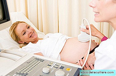 20. týden těhotenství: morfologický ultrazvuk, klid