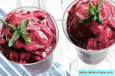 Creamy and simple red fruit sorbet. Recipe for pregnant women