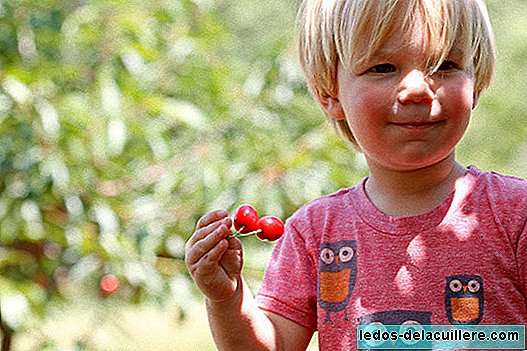 Add fruits and vegetables to the kids' diet