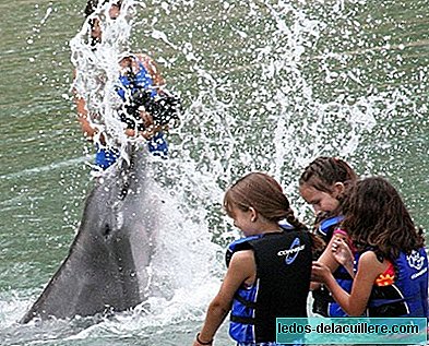Terapia com golfinhos para crianças autistas