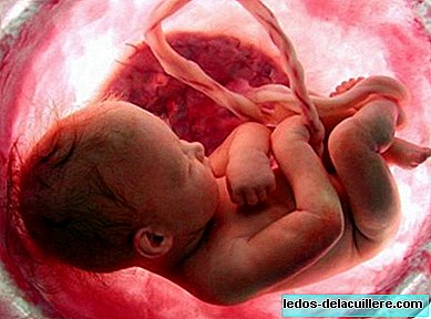 Todo amor: a placenta que depois de crescer seu bebê saiu em forma de coração