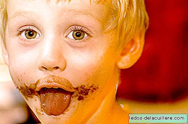 Does your son ask you for chocolate? A recent study confirms that it does not make you fat