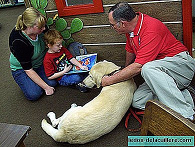 "صديق في المنزل": العلاج بمساعدة الكلاب للأطفال ذوي الإعاقة