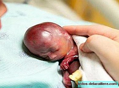 Bayi yang lahir dengan 19 minggu tinggal hanya beberapa minit tetapi menerima semua cinta dari keluarganya