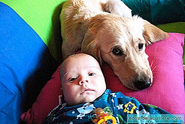 En hund redder livet til en ni uker gammel baby