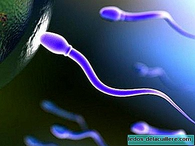 Une altération de la protéine du sperme, clé en cas d'infertilité