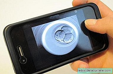 Um aplicativo permite que você veja on-line a fertilização do seu filho em tratamentos de fertilidade