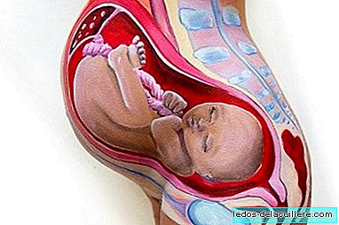 One of the works of "Body painting" in the prettiest pregnancy I've seen