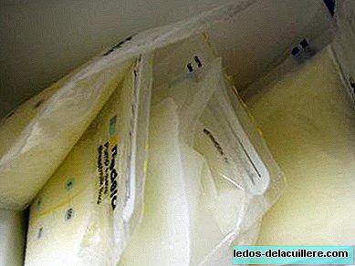 Boas notícias: Castilla y León terá seu banco de leite materno