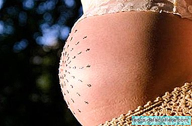 Vitamine D tijdens de zwangerschap om de botontwikkeling van de baby te verbeteren