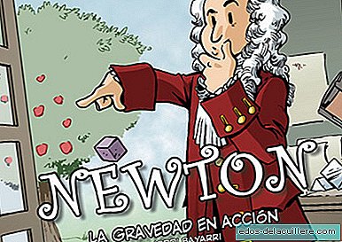 Newton chegou em casa, a gravidade em ação da Coleção Científica