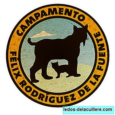 Периодът за регистрация за четвъртото издание на лагера Félix Rodríguez de la Fuente вече е открит