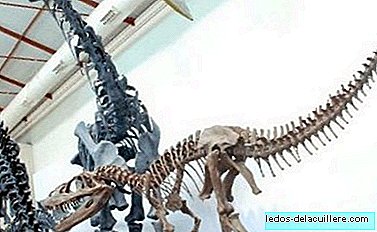 Mit den Kindern ins Naturkundemuseum von Madrid