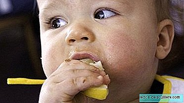 Alahan pada bayi: Alergi Makanan (I)