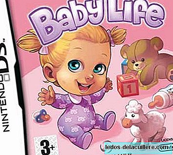 Nintendo DS Baby Life, take care of a virtual baby