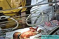 Webcams to virtually visit the premature baby