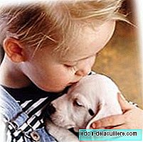 Hvordan børn viser kærlighed til deres kæledyr