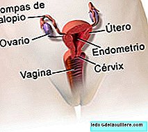 Inkompetenter Gebärmutterhals