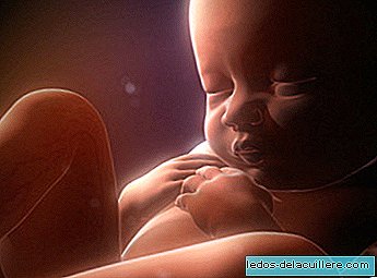 Calendar to know the measures and weight of the fetus during pregnancy