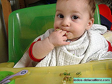 Characteristics that new foods must meet in the baby's diet