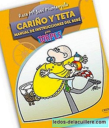 "Honey and Teta, manual for clumsy", een grappig boek van Rosa Jové