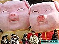 La Cina prevede un "boom del bambino" nell'anno del maiale
