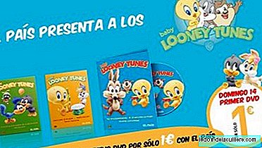 Collection of Baby Looney Tunes DVDs with El País