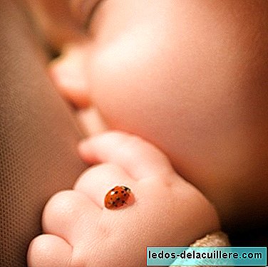 Tipps zum Fotografieren von Neugeborenen