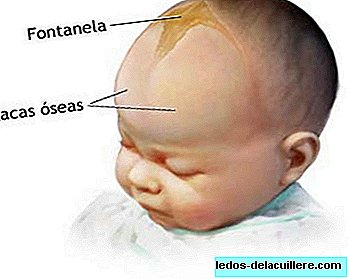 When does the baby's fontanel close?