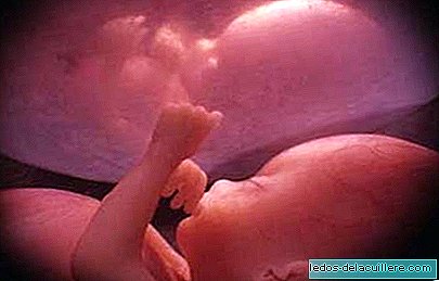 Četvrti mjesec trudnoće: mjesečna trudnoća