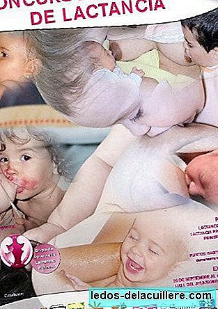 From mare to mare, breastfeeding photo contest