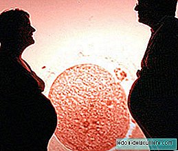 Diferenças na disposição de doar óvulos ou esperma