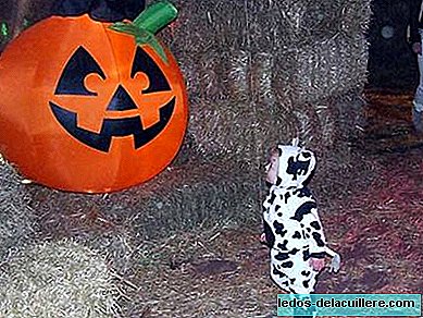 Grappige Halloween-viering in dierentuinen