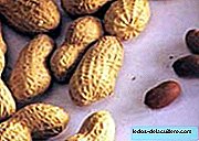 Efeitos da ingestão de amendoim durante a gravidez ou lactação
