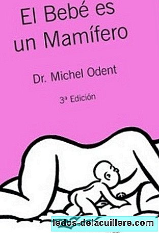 "O bebê é um mamífero", livro indispensável antes de ter um filho