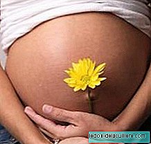 Nízký cholesterol během těhotenství predisponuje k předčasnému porodu