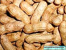 The consumption of nuts in pregnancy related to childhood asthma